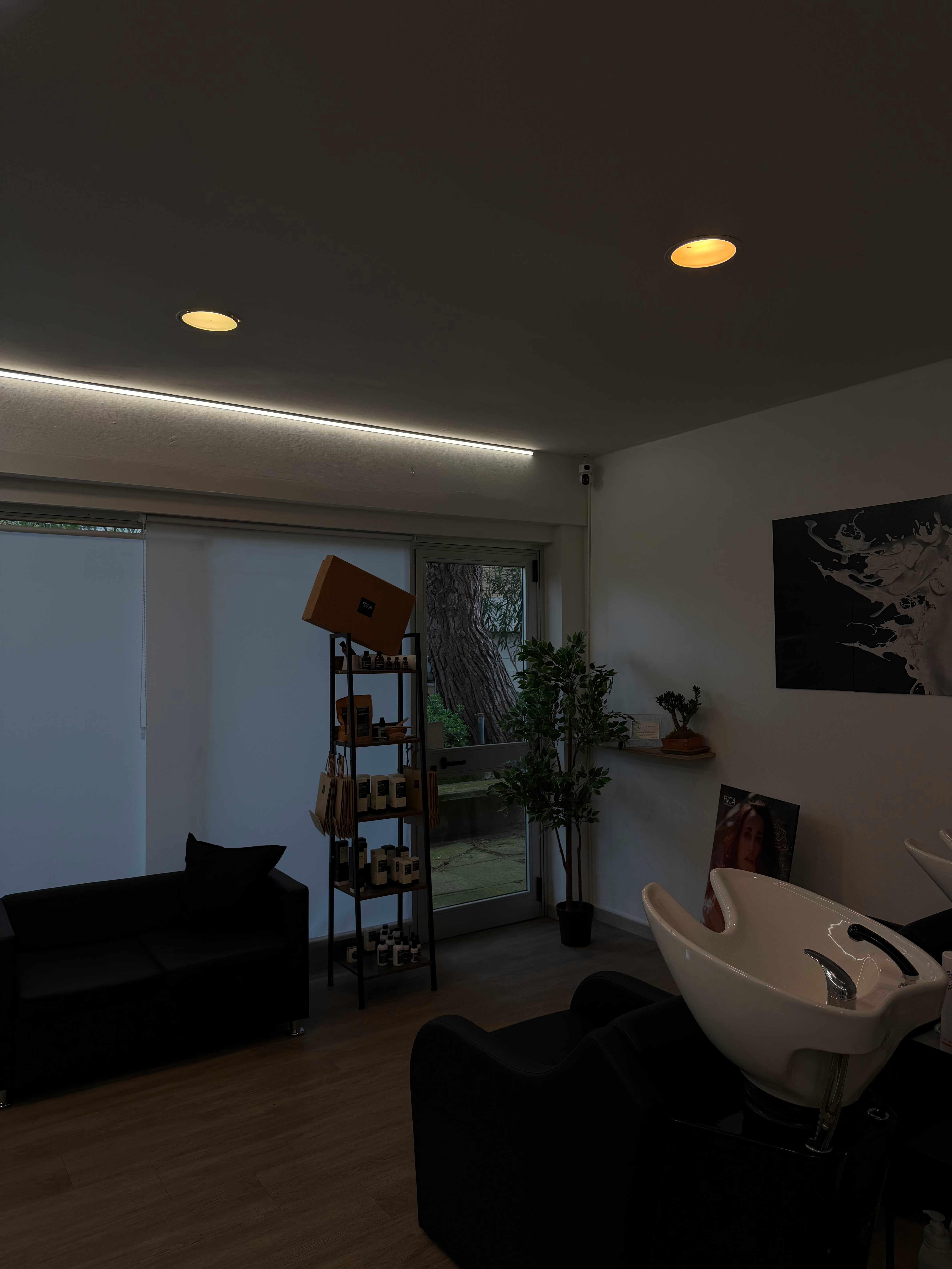 Development Project